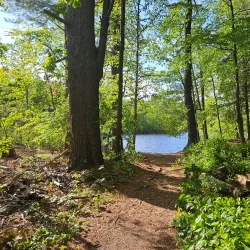 Hopkinton State Park - Westborough