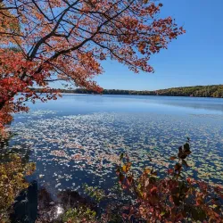 Lake Chauncy Recreation Area - Westborough