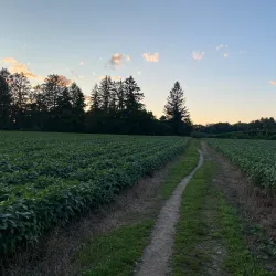Lake Chauncy Recreation Area - Westborough
