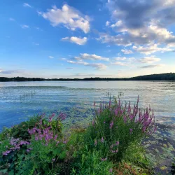 Lake Chauncy Recreation Area - Westborough