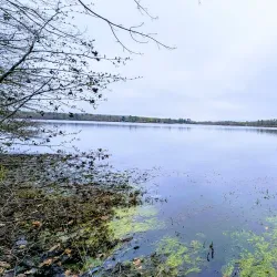 Lake Chauncy Recreation Area - Westborough