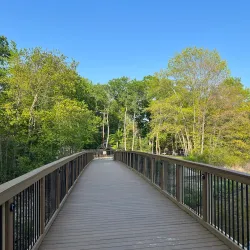 Mill Pond Park - Westborough