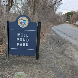 Mill Pond Park - Westborough