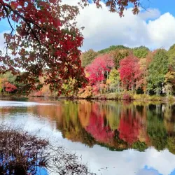 Mill Pond Park - Westborough