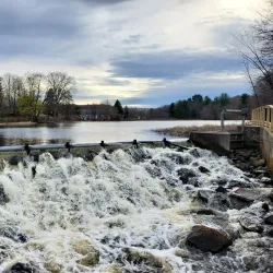 Mill Pond Park - Westborough