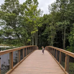 Mill Pond Park - Westborough