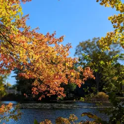 Mill Pond Park - Westborough