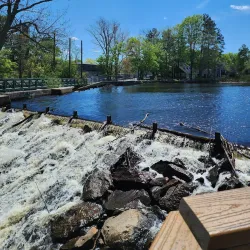 Mill Pond Park - Westborough