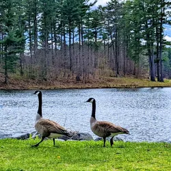 Westborough Community Land Trust Trails - Westborough