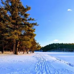 Westborough Community Land Trust Trails - Westborough