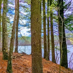 Westborough Community Land Trust Trails - Westborough