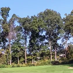 Westborough Country Club - Westborough