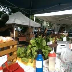 Westborough Farmers Market - Westborough