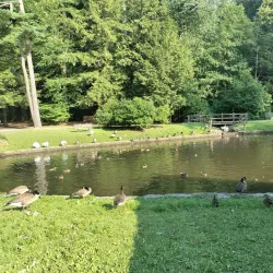 Stanley Park - Westfield