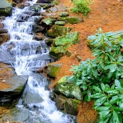 Stanley Park - Westfield