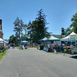 Westfield Farmers Market - Westfield