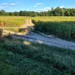 Westfield River Greenway - Westfield