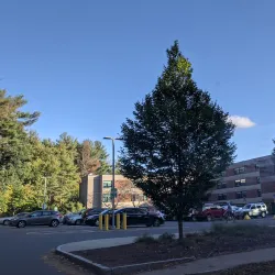 Westfield State University - Westfield