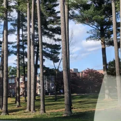 Westfield State University - Westfield