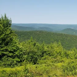 Hopkins Memorial Forest - Williamstown