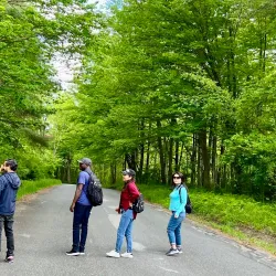 Hopkins Memorial Forest - Williamstown