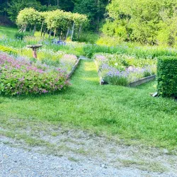 Hopkins Memorial Forest - Williamstown