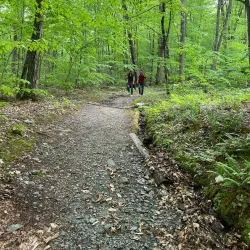 Hopkins Memorial Forest - Williamstown