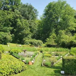 Hopkins Memorial Forest - Williamstown