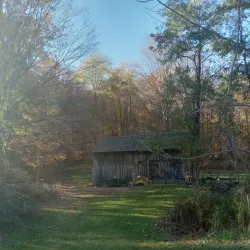 Hopkins Memorial Forest - Williamstown