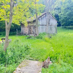 Hopkins Memorial Forest - Williamstown