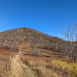 Mount Greylock State Reservation - Williamstown
