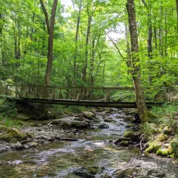 Mount Greylock State Reservation - Williamstown