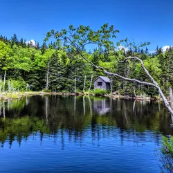Mount Greylock State Reservation - Williamstown