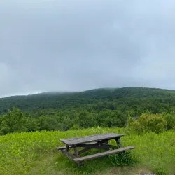 Mount Greylock State Reservation - Williamstown