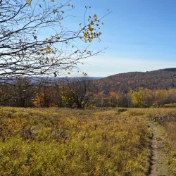 Mount Greylock State Reservation - Williamstown
