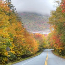 Mount Greylock State Reservation - Williamstown