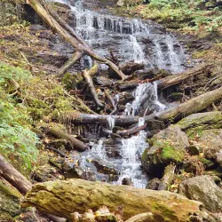Mount Greylock State Reservation - Williamstown