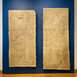 Williams College Museum of Art - Williamstown