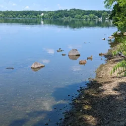 Horn Pond Wildlife Sanctuary - Woburn