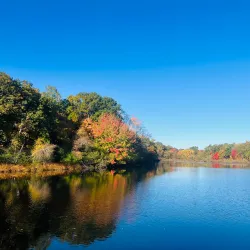 Horn Pond Wildlife Sanctuary - Woburn