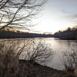 Horn Pond Wildlife Sanctuary - Woburn
