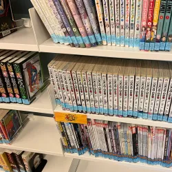 Woburn Public Library - Woburn