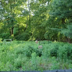 Broad Meadow Brook Conservation Center and Wildlife Sanctuary - Worcester