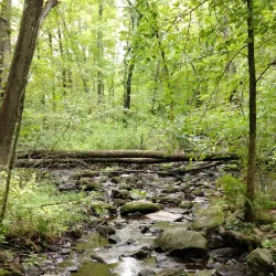 Broad Meadow Brook Conservation Center and Wildlife Sanctuary - Worcester
