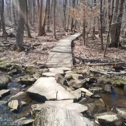 Broad Meadow Brook Conservation Center and Wildlife Sanctuary - Worcester