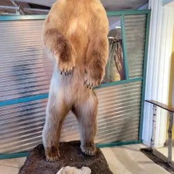 EcoTarium - Worcester