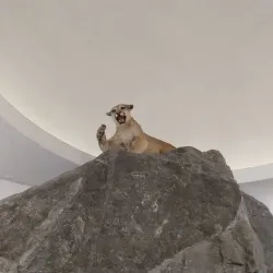 EcoTarium - Worcester