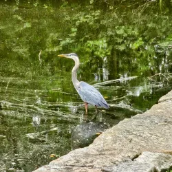 Elm Park - Worcester