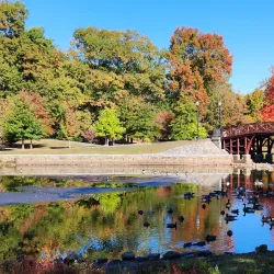 Elm Park - Worcester