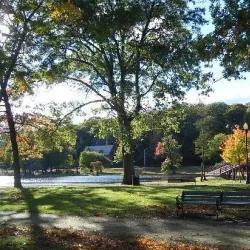 Elm Park - Worcester